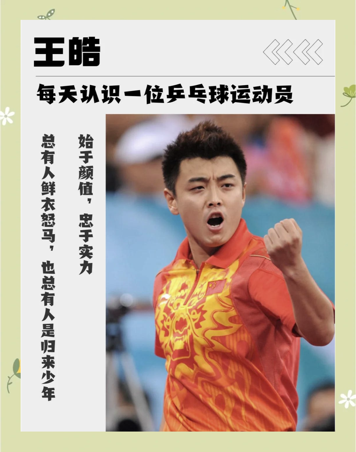 法国乒乓球队强势韩国乒乓球队，王皓惊艳世界的简单介绍