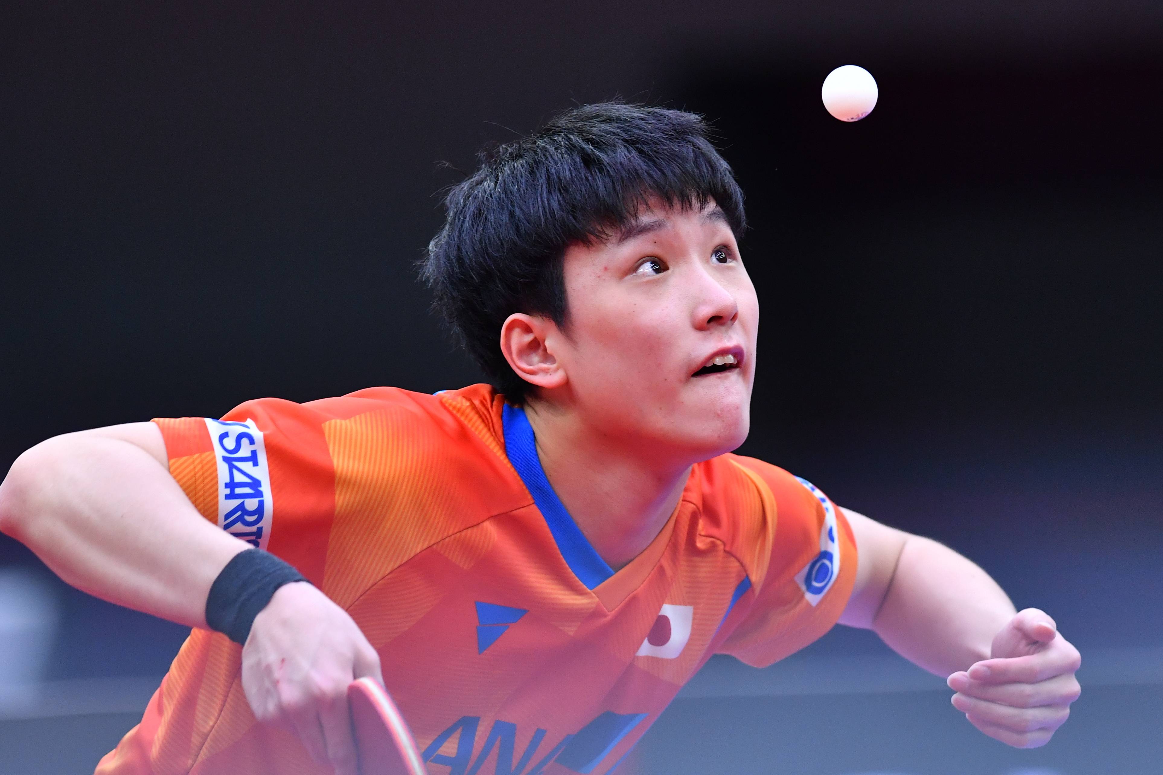 葡萄牙队横扫奥地利队，张本智和刷新纪录的简单介绍